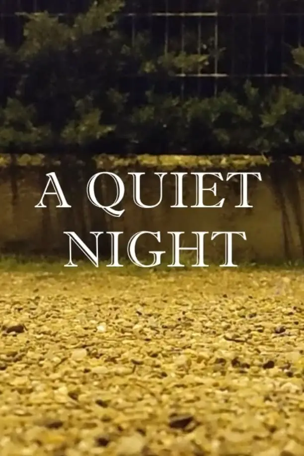 A Quiet Night