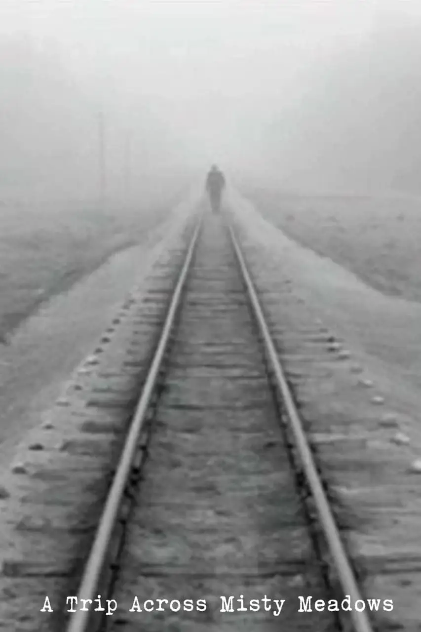 A Trip Across Misty Meadows