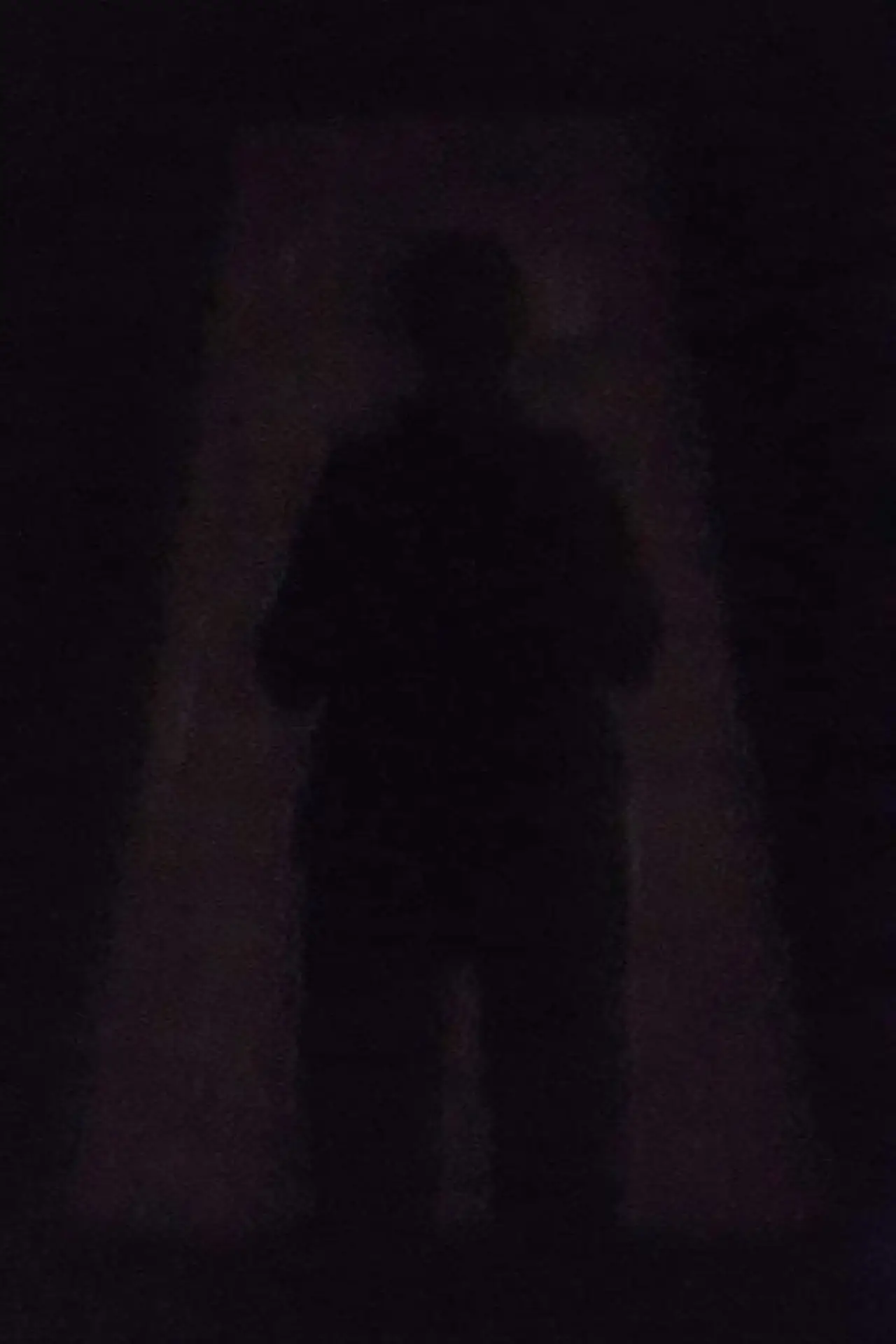 An Image in the Shadow