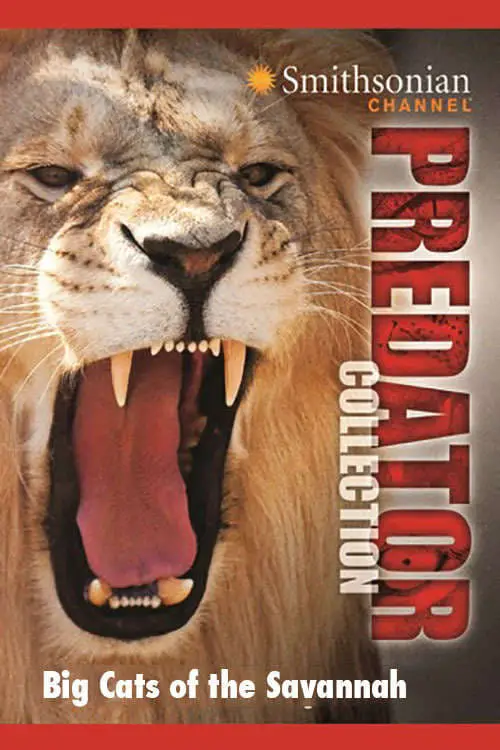 Big Cats of the Savannah