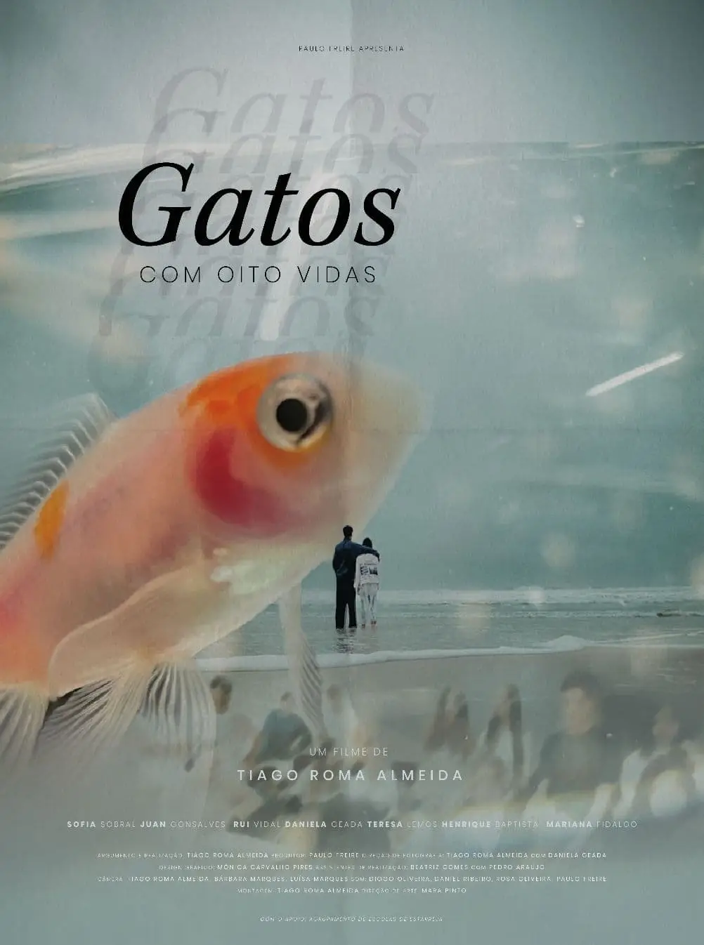 Cats With Eight Lives