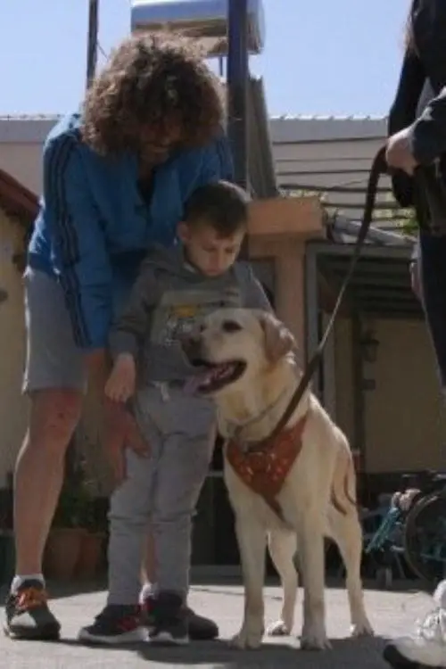 Dogs That Change Lives