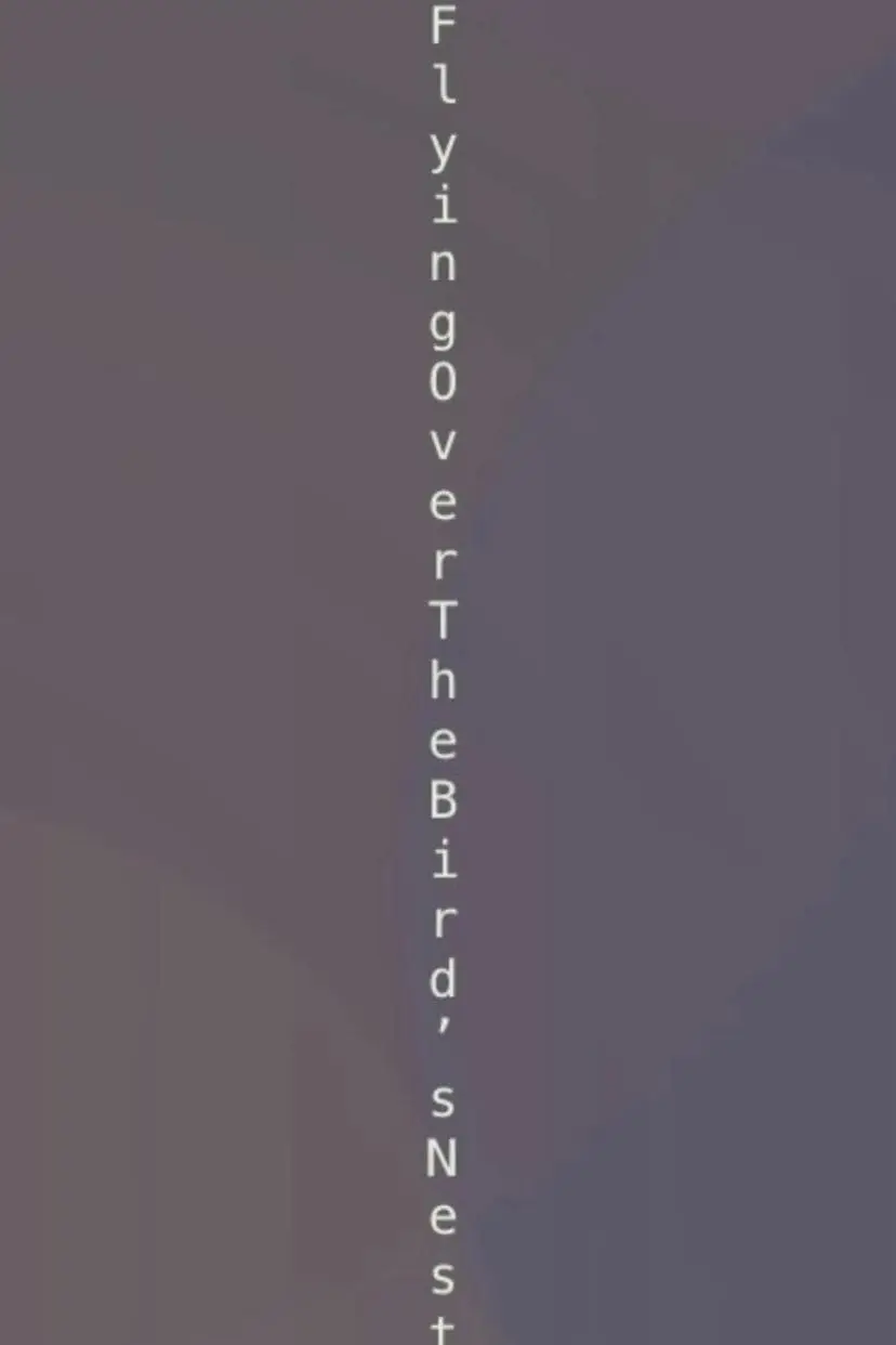 Flying Over The Bird's Nest