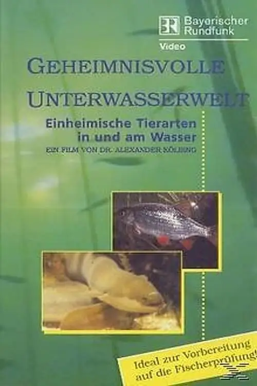 Geheimnisvolle Unterwasserwelt