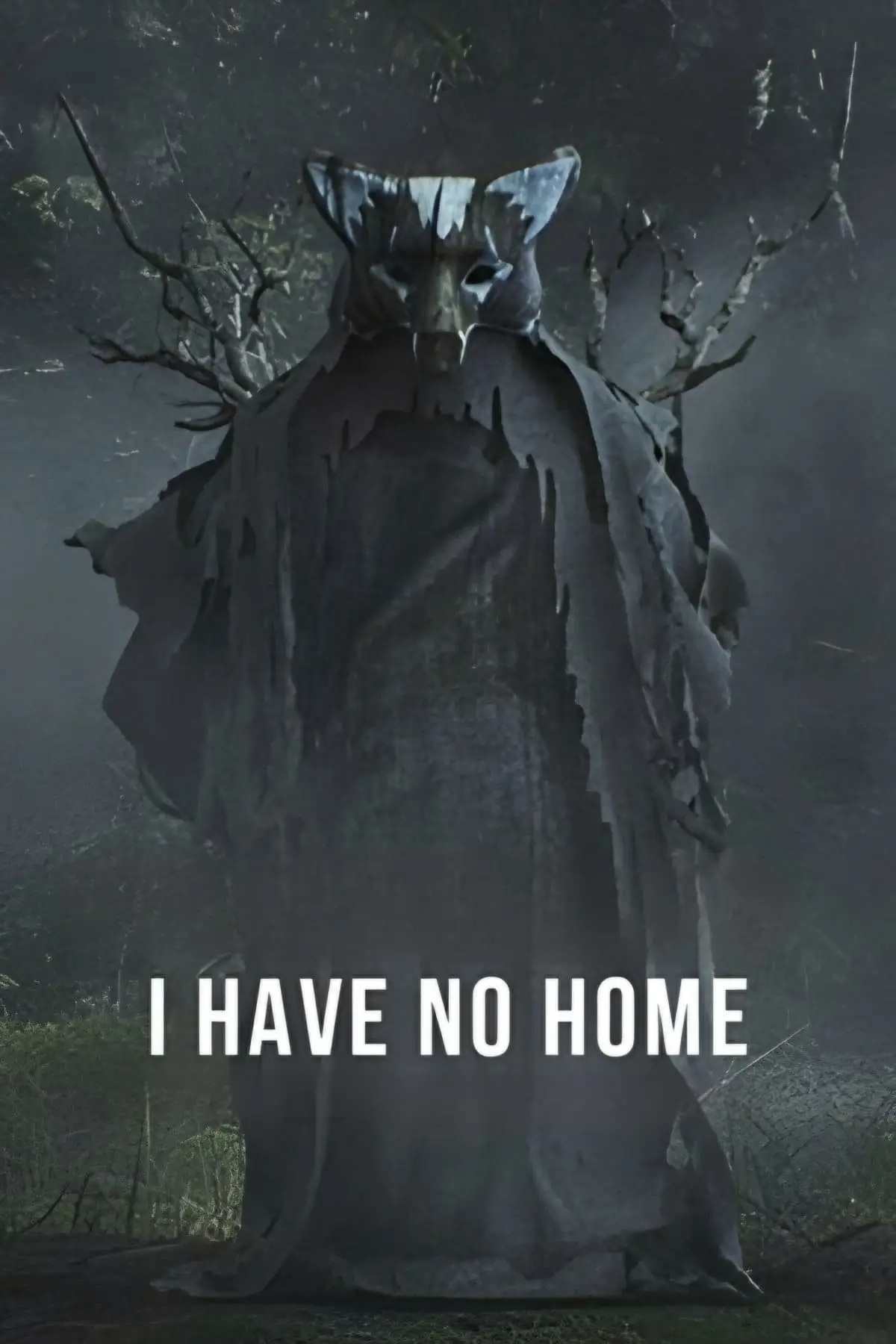 I Have No Home