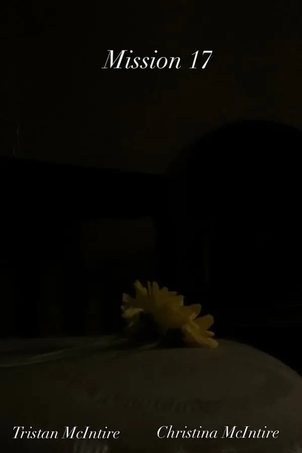 Mission 17