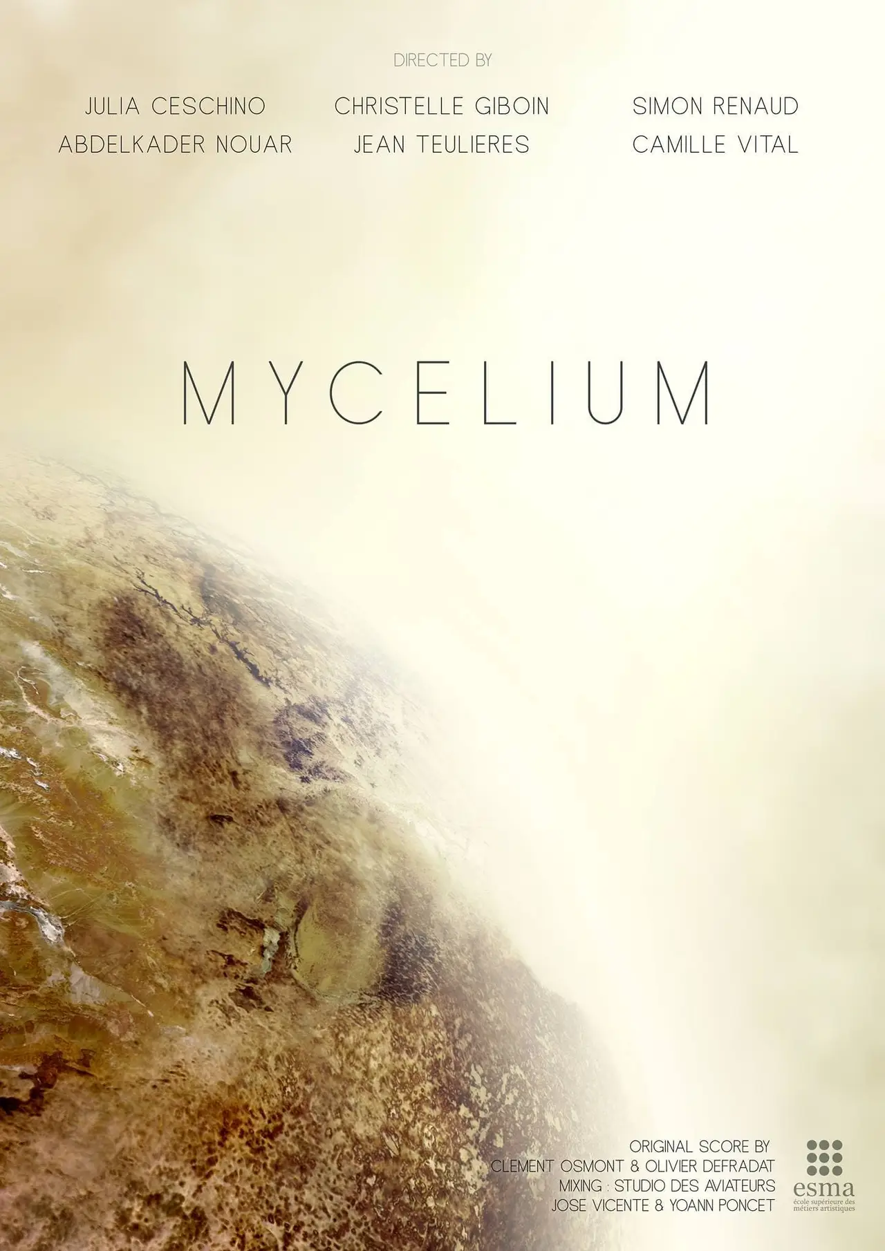 Mycelium