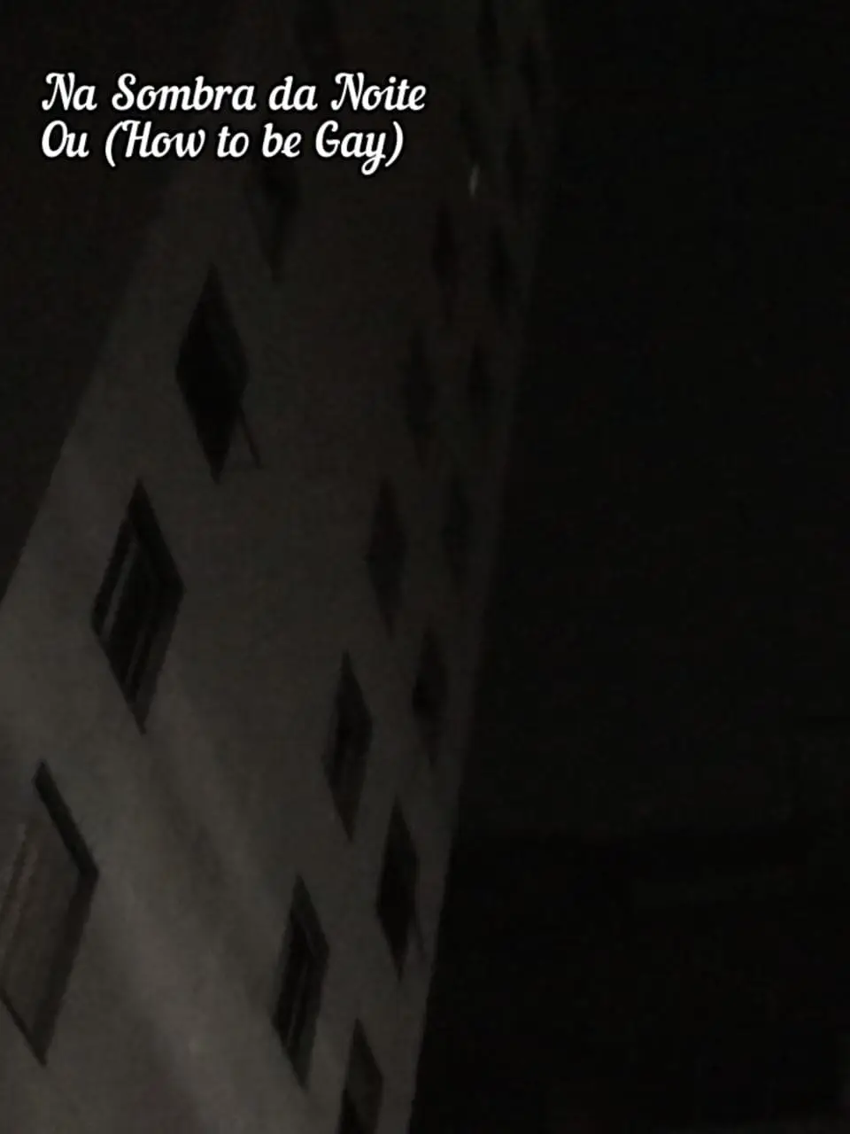 Na Sombra da Noite ou (How To Be Gay)