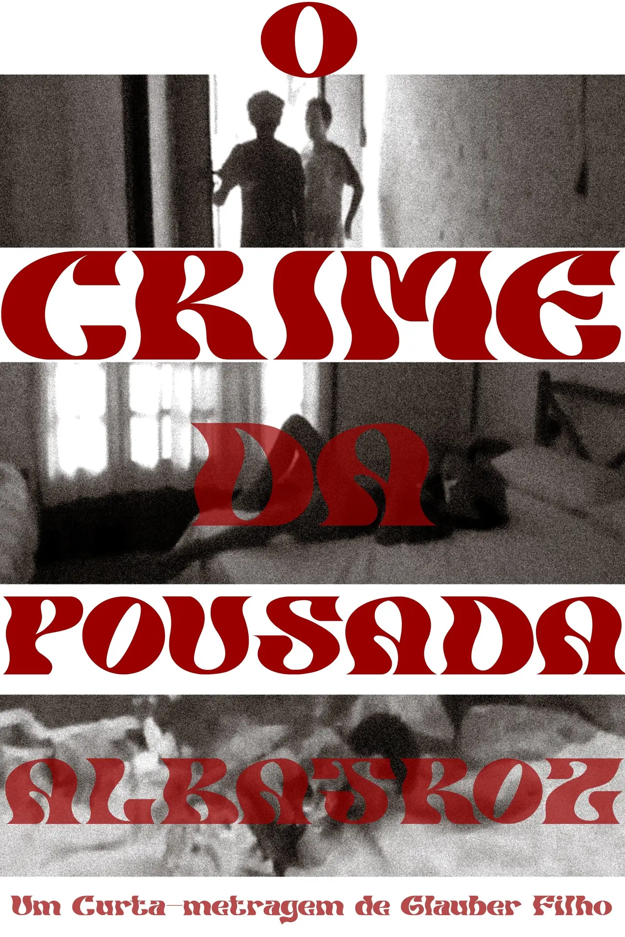 O crime da pousada Albatroz