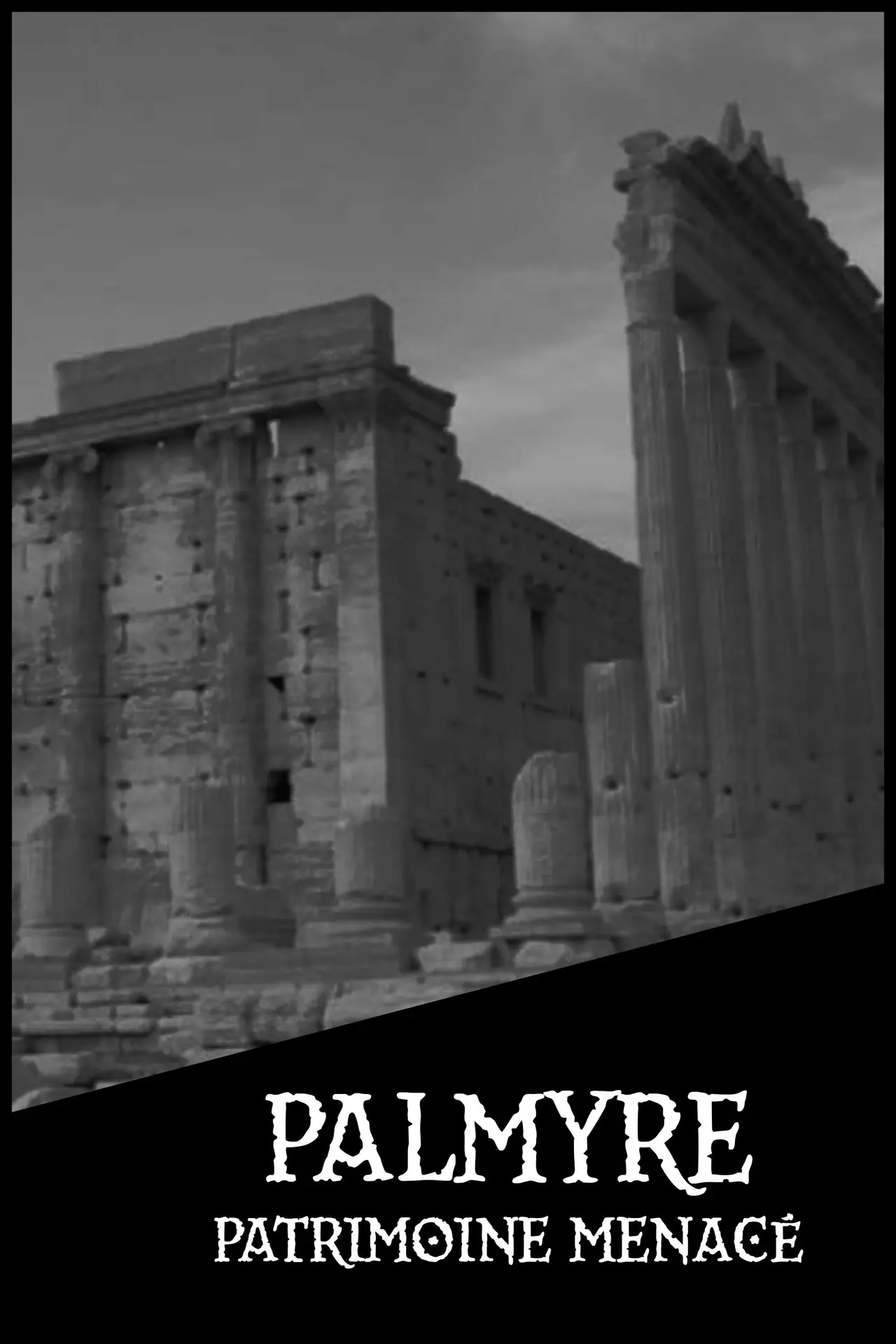 Palmyre, patrimoine menacé