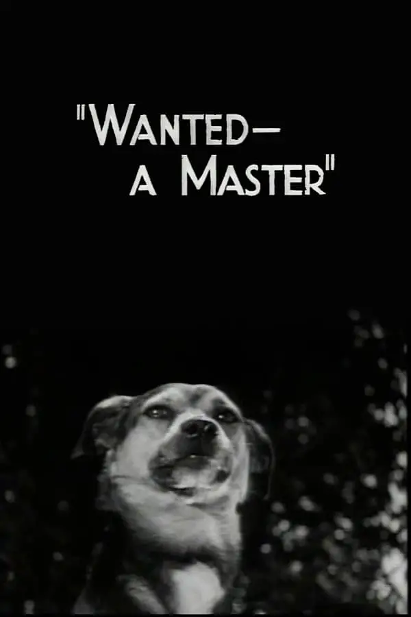 Wanted - A Master
