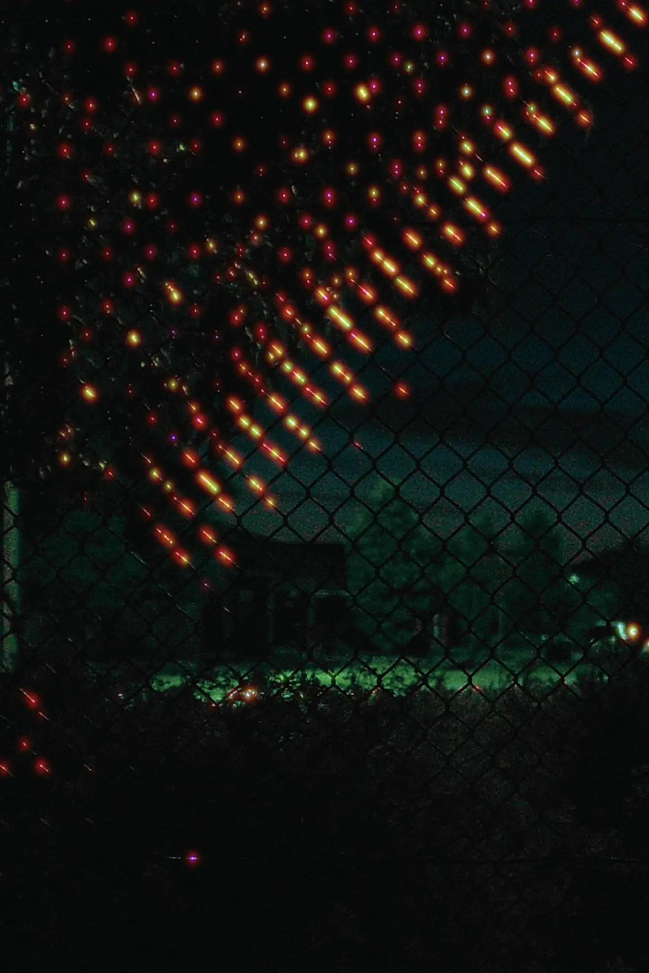 We're Still the Kids We Used to Be